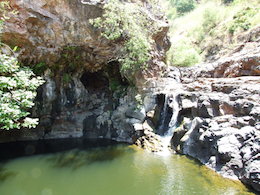 בריכה בנחל זויתן